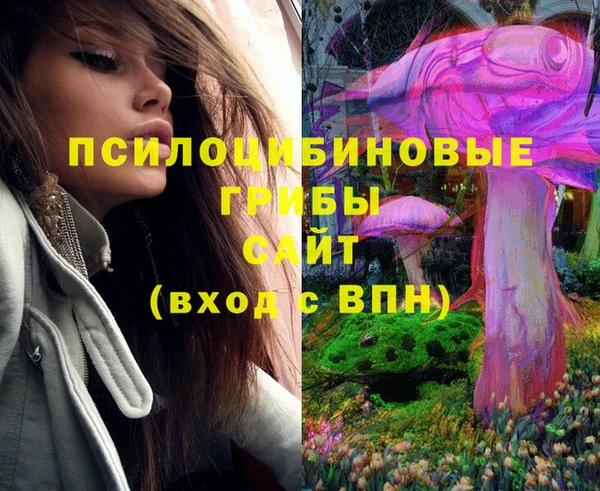 винт Верхний Тагил