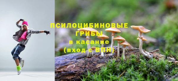 прущий лед Сосновка