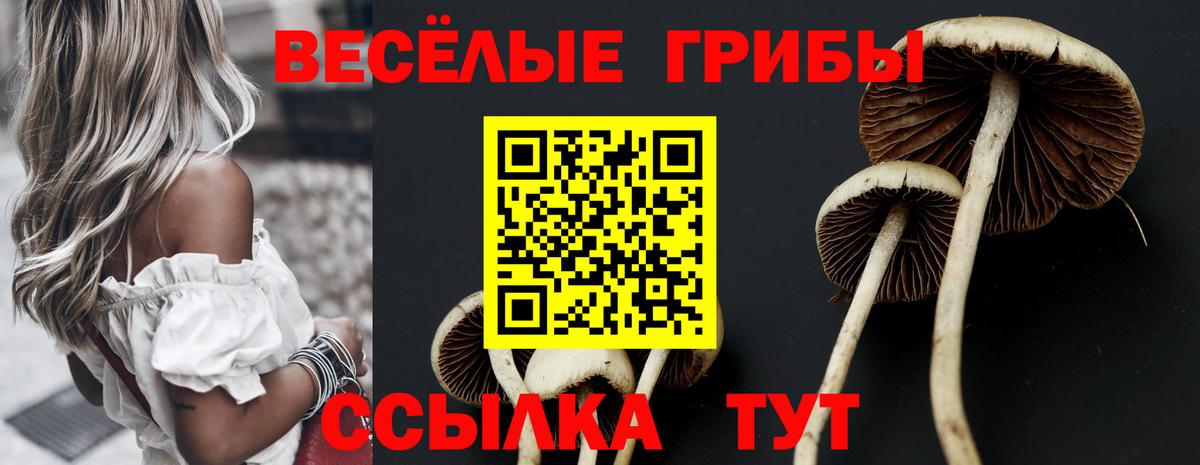 Псилоцибиновые грибы Psilocybine cubensis  Вход с VPN  Можайск 